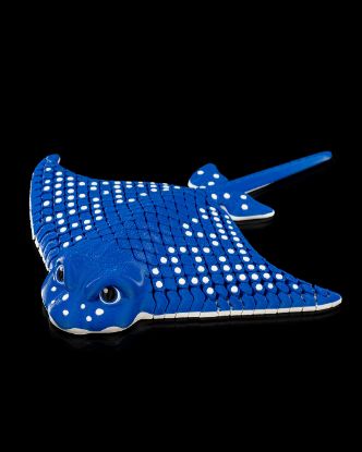 Picture of Spotted Eagle Ray