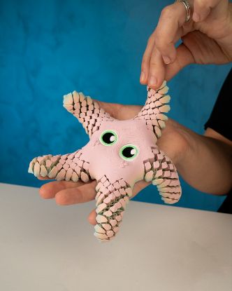 Picture of Articulating Starfish