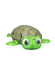 Picture of Myrtle, the Turtle