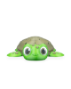Picture of Myrtle, the Turtle
