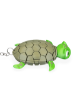 Picture of Myrtle, the Turtle