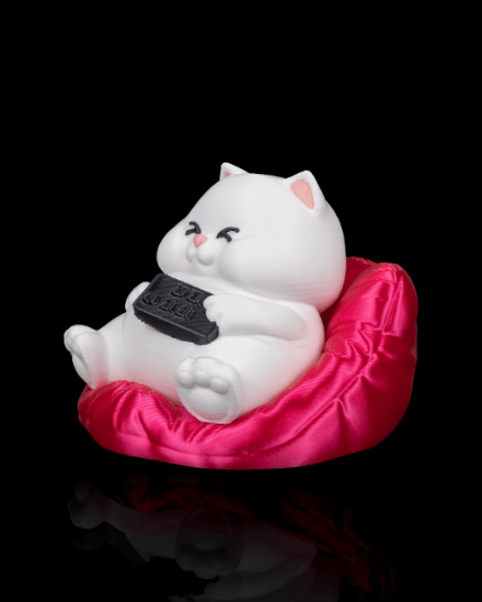 Picture of Chubby Cat